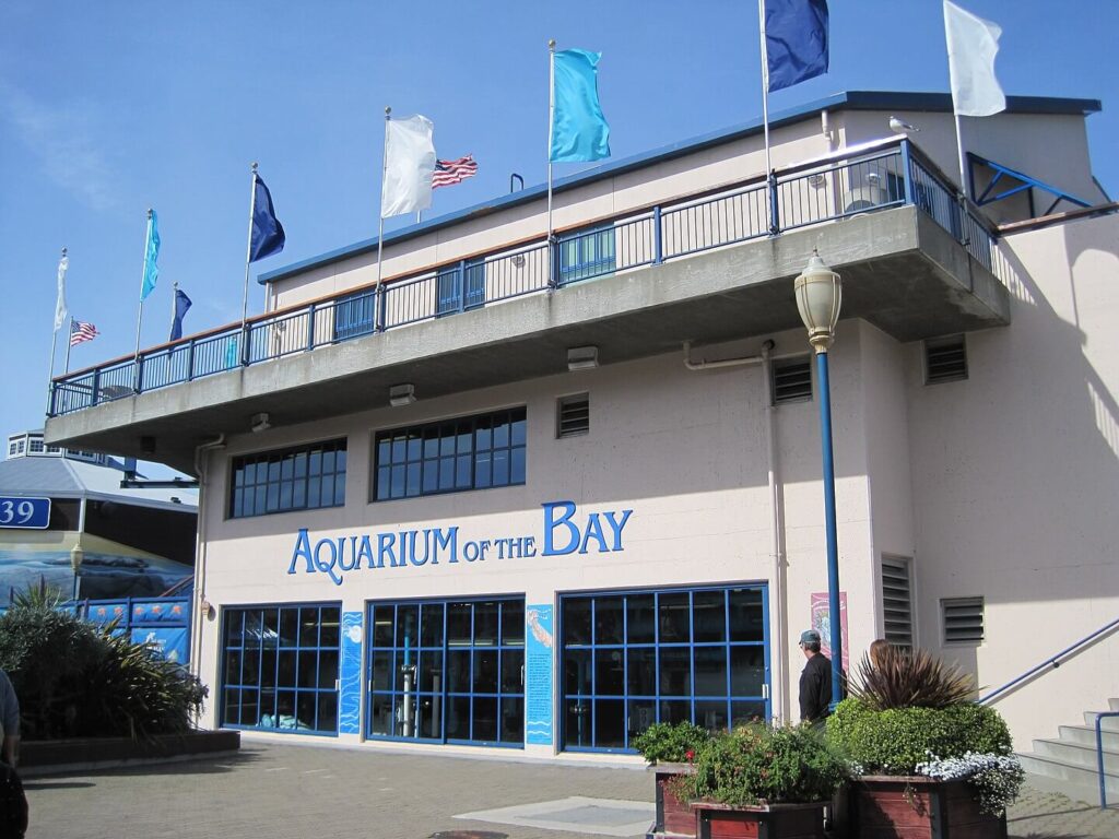 Outside Aquarium of the Bay building / BrokenSphere / Wikimedia Commons
Link: https://commons.wikimedia.org/wiki/File:Aquarium_of_the_Bay_exterior_3.JPG#/media/File:Aquarium_of_the_Bay_exterior_3.JPG