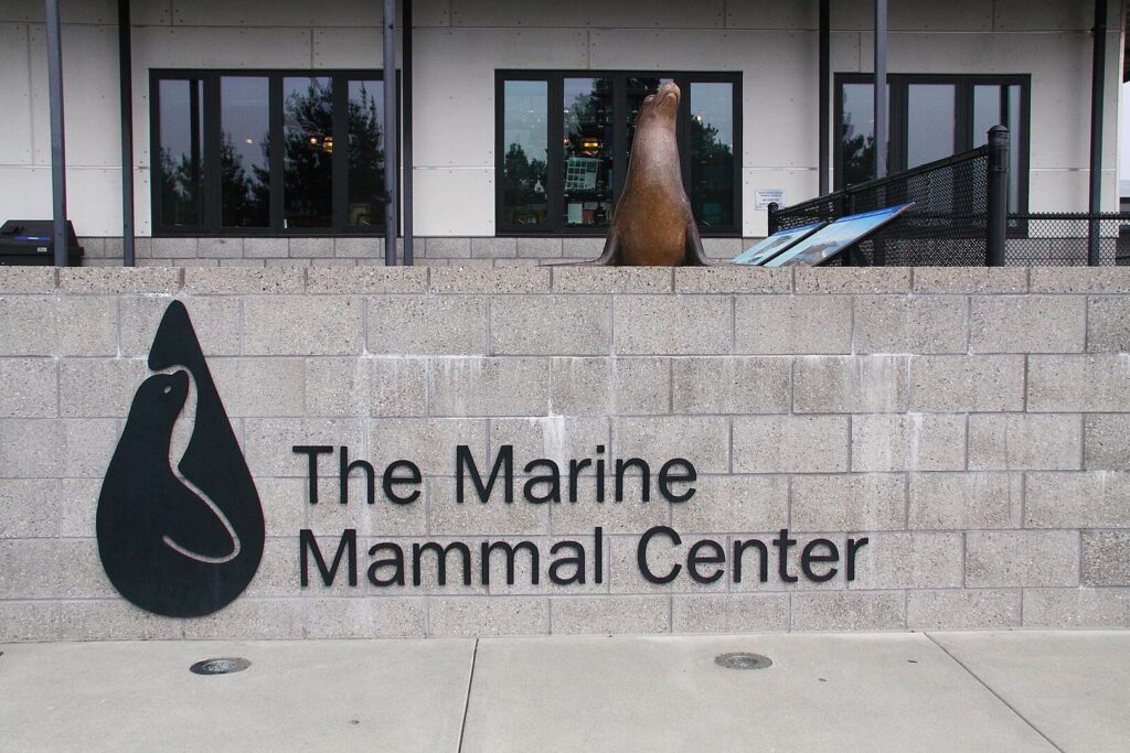 Front entrance at the Marine Mammal Center / Canticle / Wikimedia Commons
Link: https://commons.wikimedia.org/wiki/File:Marin_Marine_Mammal_Center.jpg#/media/File:Marin_Marine_Mammal_Center.jpg