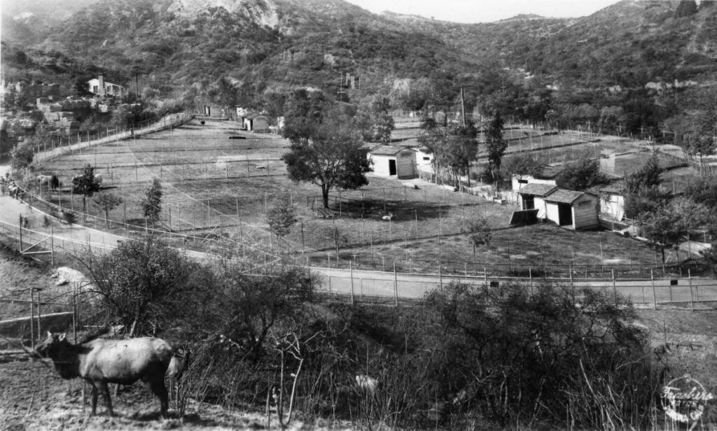 Wide shot of The Old L.A. Zoo / Burton Frasher / Wikipedia
Link: https://commons.wikimedia.org/wiki/File:Griffith_Park_Zoo_(B9957).jpg#/media/File:Griffith_Park_Zoo_(B9957).jpg