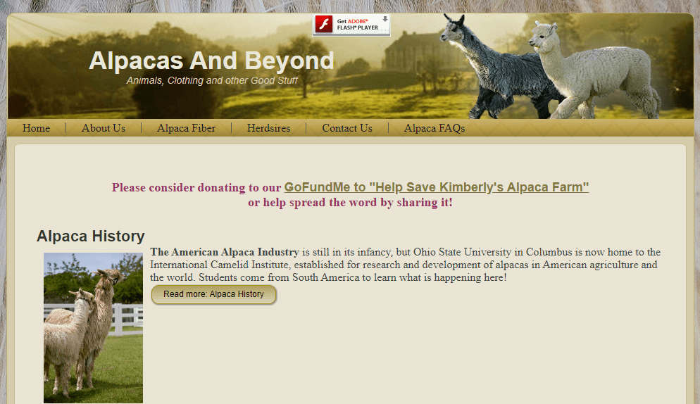 Homepage of Alpacas and Beyond / 
Link: alpacasandbeyond.com