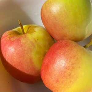 Apples / Wikimedia Commons / Jengod
Link: https://commons.wikimedia.org/wiki/File:Apples_Golden_Dorsett_variety.jpg