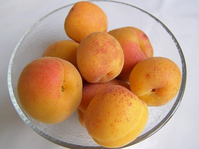 Apricots / Wikimedia Commons / Kmtextor
Link: https://commons.wikimedia.org/wiki/File:Apricots-Harvest.jpg