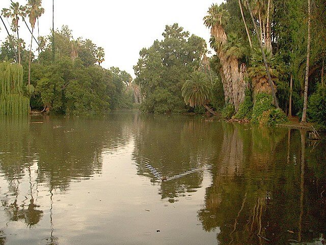 Baldwin Lake / Wikimedia Commons / The Fun Chronicles
Link: https://commons.wikimedia.org/wiki/File:05_Baldwin_Lake,_Los_Angeles_County_Arboretum_(2).jpg