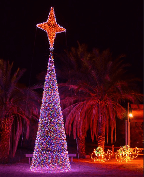 Christmas tree at the Living Desert Zoo / Flickr / jan lyall
Link: https://flic.kr/p/dCHSyo