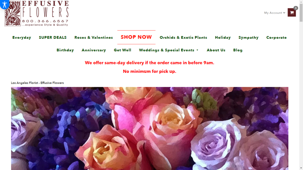Homepage of Effusive Flowers' Website / effusiveflowers.com
