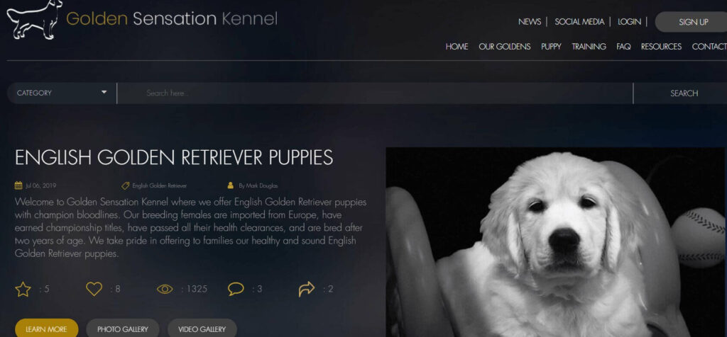 Homepage of Golden Sensation Kennel / goldensensationkennel.com
Link:
https://goldensensationkennel.com/