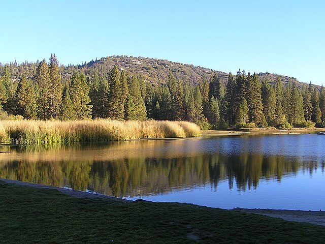 Hume Lake / Wikimedia Commons / ogwen
Link: https://commons.wikimedia.org/wiki/File:Hume_Lake_-_panoramio_(3).jpg