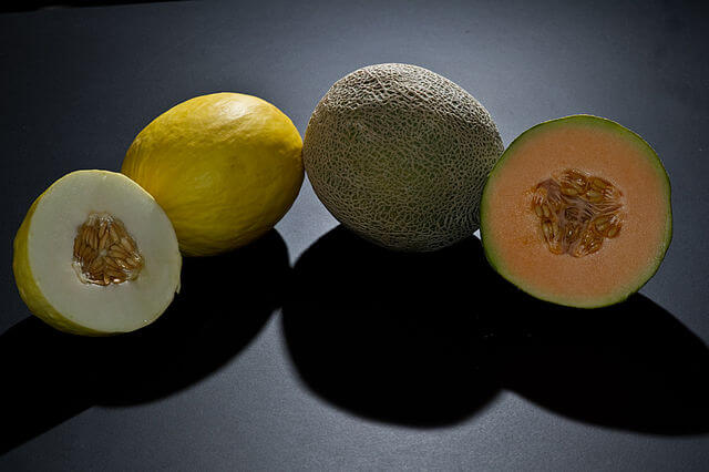 Melons / Wikimedia Commons / Atomicbre
Link: https://commons.wikimedia.org/wiki/File:Cantaloupe_and_canary_melon.jpg