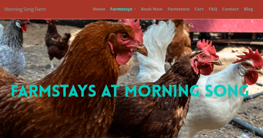 Homepage of Morning Song Farm / Link: www.morningsongfarm.com