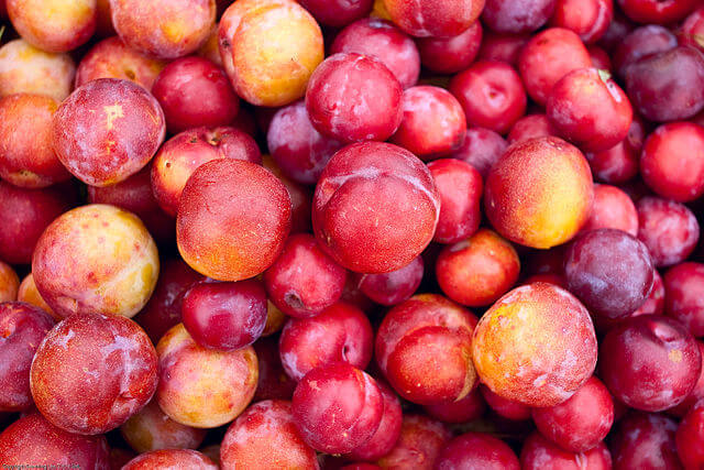 Plums / Wikimedia Commons / Seeminglee
Link: https://commons.wikimedia.org/wiki/File:Plums-farmers-market-seeminglee.jpg