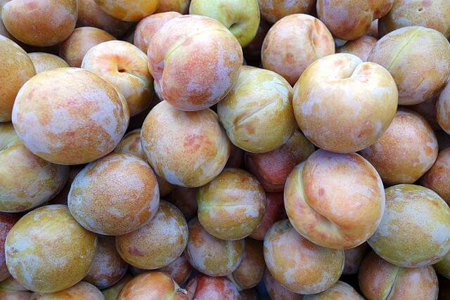 Pluots / Wikimedia Commons / Daderot
Link: https://commons.wikimedia.org/wiki/File:Pluots_-_Farmer%27s_Market_at_the_Ferry_Building_-_San_Francisco,_CA_-_DSC03615.JPG