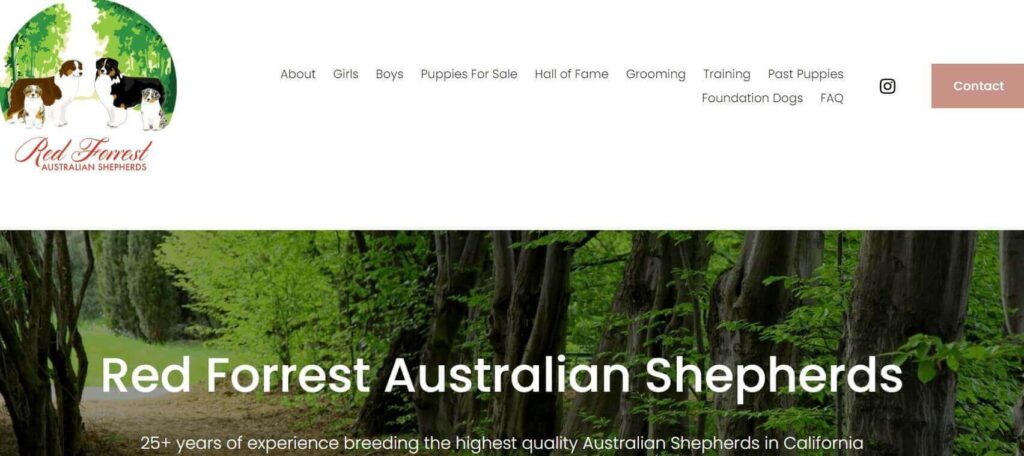 Homepage of Red Forrest Australian Shepherds / redforrestaussies.com
Link:
https://redforrestaussies.com/