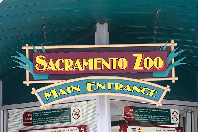 Sacramento Zoo / Wikimedia Commons / L Wade Brown
Link: https://commons.wikimedia.org/wiki/File:LWBSacramentoZoo.JPG