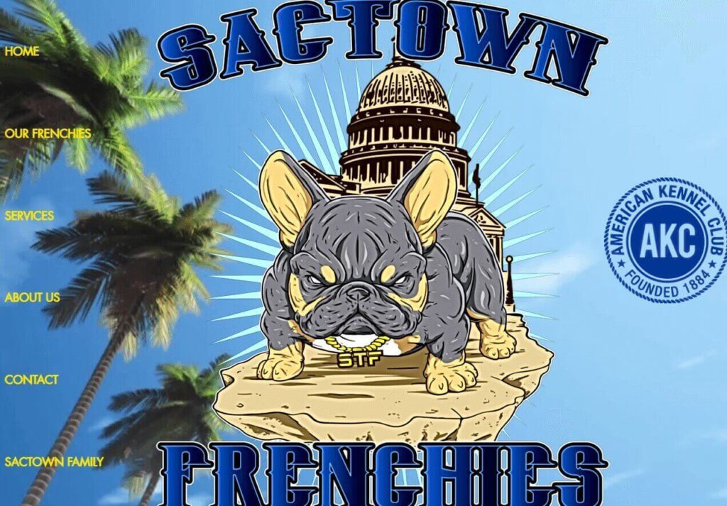 Homepage of Sactown Frenchies / sactownfrenchies.com
Link:
https://www.sactownfrenchies.com/