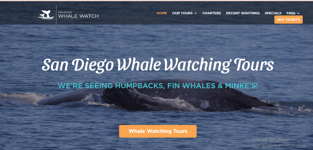 Homepage of San Diego Whale Watch's website / sdwhalewatch.com