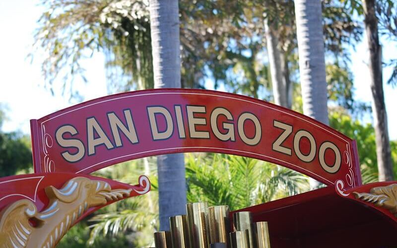 San Deigo Zoo Signage / Flickr / Matthew Dillon
Link: https://flickr.com/photos/ruggybear/5039584745/