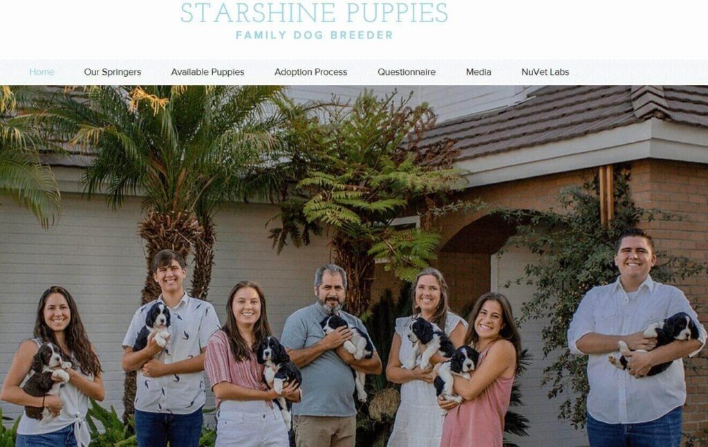 Homepage of Starshine Puppies / starshinepuppies.com
Link:
https://www.starshinepuppies.com/