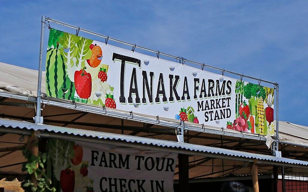 Tanaka Farms Market / Wikimedia Commons / Justirvine
Link: https://commons.wikimedia.org/wiki/File:Tanaka_Farms_in_Irvine.jpg