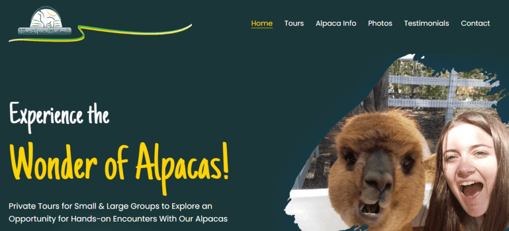 Homepage of The Alpaca Hacienda / Link: www.thealpacahacienda.com