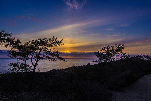 Sunset view at Torrey Pines State Natural Reserve / Wikimedia Commons / Michael varun
Link: https://commons.wikimedia.org/wiki/File:Sunset_at_Torrey_Pines.JPG