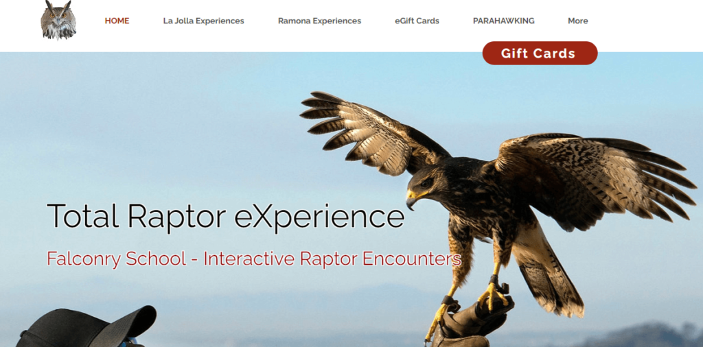 Homepage of Total Raptor Experience / 
Link: www.totalraptorexperience.com