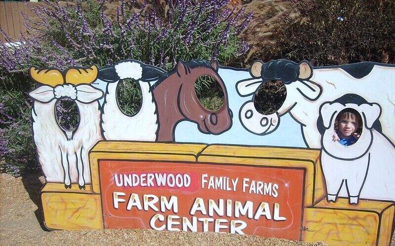 Underwood Family Farms Signage / Flickr / Peter & Joyce Grace
Link: https://flickr.com/photos/gracefamily/4092995145/