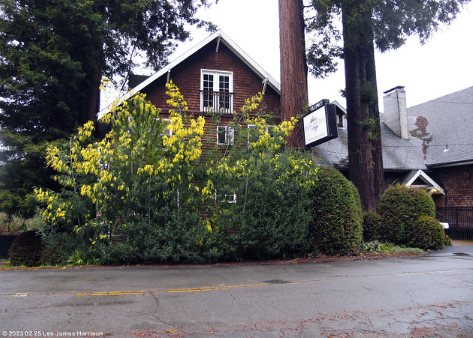 Exterior angle of the Highland Dell Lodge / Flickr / Lee James Harrison
Link: https://flic.kr/p/2ojw8ig