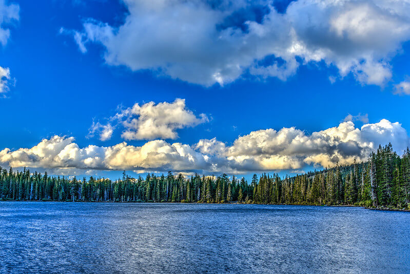 Scenic view of the Gold Lake / Flickr
https://flic.kr/p/y6QeZT