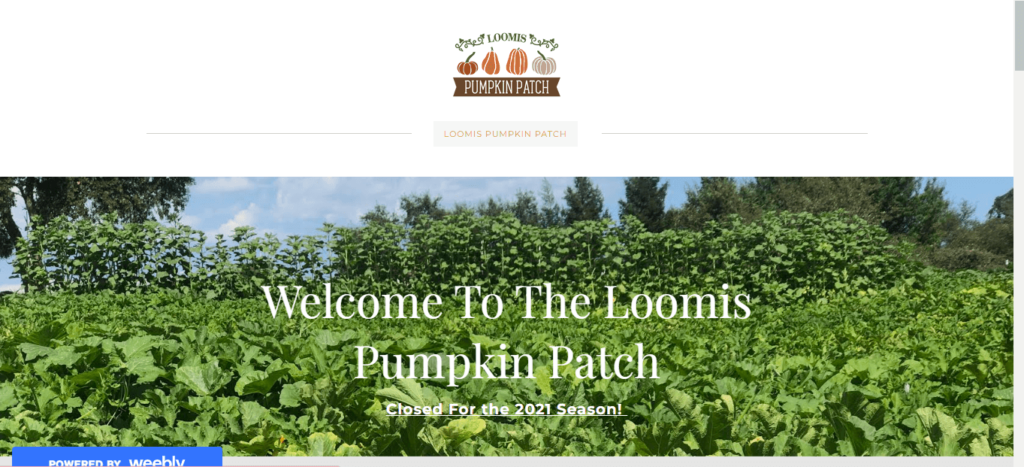 Homepage of Loomis Pumpkin Patch / loomispumpkinpatch.com