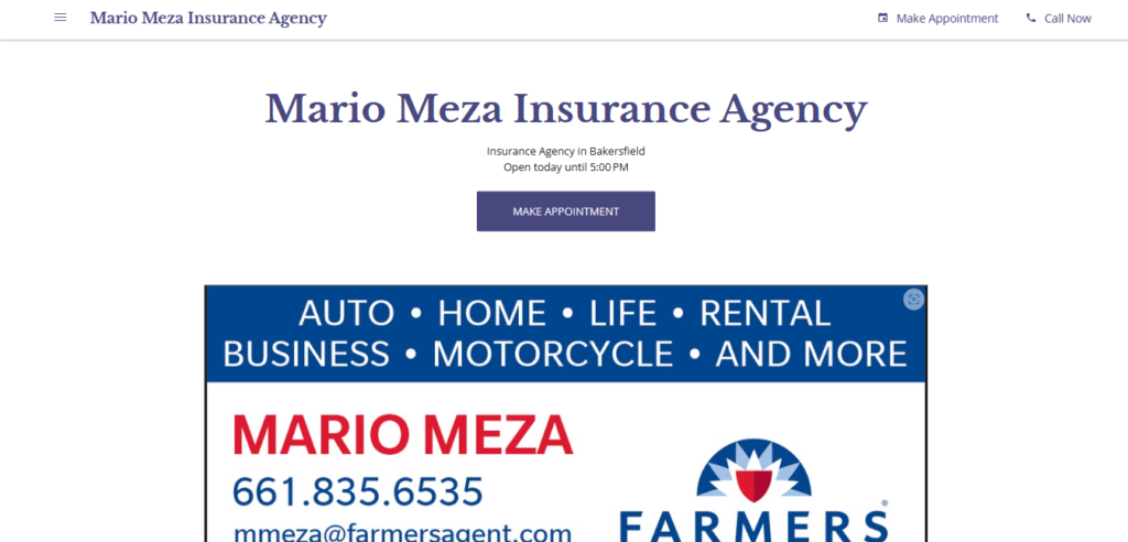 Homepage of Mario Meza Insurance Agency /
Link: mariomezainsuranceagency.business.site