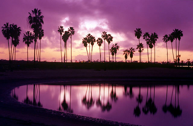 Beautiful sunset at Mission Bay / Wikipedia
https://en.wikipedia.org/wiki/Mission_Bay_(San_Diego)#/media/File:Mission_Bay_Palm_Trees,_2000_pixel_image.jpg