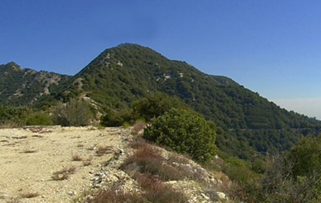 View of Mt Lowe / Wikipedia / Magi Media https://en.wikipedia.org/wiki/Mount_Lowe_(California)#/media/File:Mount_Lowe_CA.jpg
