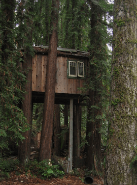 Side angle of the Redwood Treehouse in the Mountains / Flickr / Mike Castellanos
Link: https://flic.kr/p/GTaE7