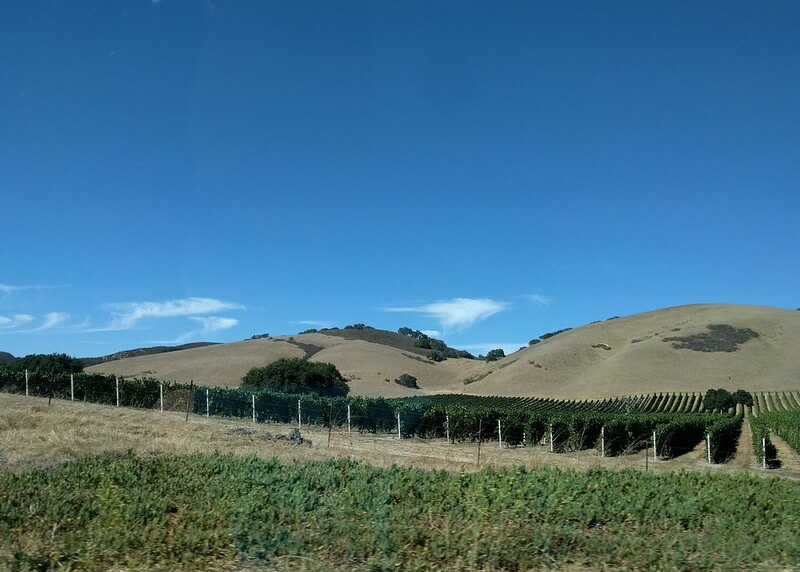 Grounds at Santa Barbara Wine Country / Flickr / Ruth Hartnup https://flic.kr/p/KqYGSm
