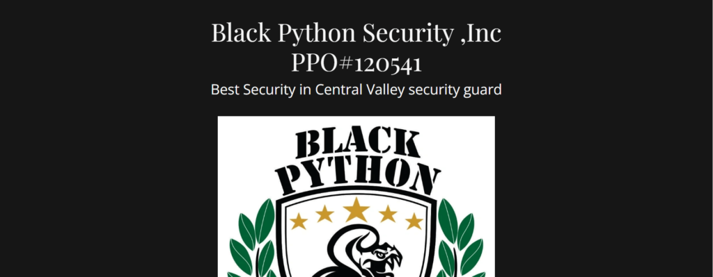 Homepage of Black Python Security Services / blackpythonsecurity.com