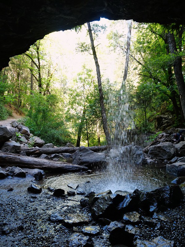 Beautiful View Of Hedge Creek Falls / Flickr / Person-with-No Name
Link: https://www.flickr.com/photos/jingke888/52115277592/in/photolist-2npffq7-VuFQ4M-2npfqmQ-2npffzf-2npfkEk-6qCHQE-33qDE-3YzUHX-6sh5v4-3YE8Fu-3YzUWn-3YE8hW-3YE85L-3YzUkK-qyXGBu-33op2-8ojxHE-259zm5m-6Diq7h-33op1-33ooX-33ooY-33ooZ-8ojyDh-33pms-ddVtod-2kGGUHJ-wjCmsE-dfkdCG-d9cUaf-deuCu9-qhsPMb-8ogmPn-6Dipu5-daA69f-WVBRWX-dcFgvn-dcq8S5-XWLGiV-XTZvi1-ddA6t8-dc8Dhc-6DehVr-dbQgeb-d9LHZV-2kJ6AG7-6bMvTu-6bGjbp-6bLoFh-6bHTBW
