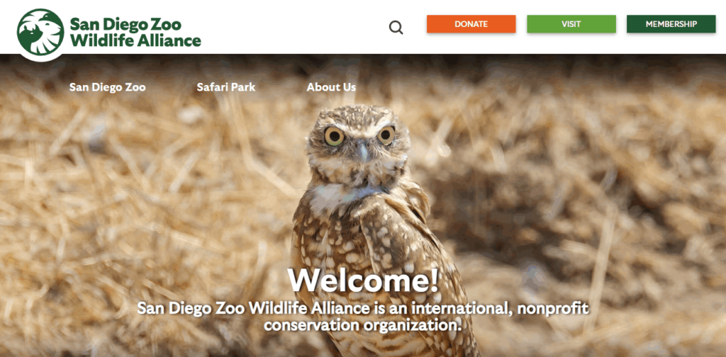 Homepage Of San Diego Zoo / https://sandiegozoowildlifealliance.org/
Link: https://sandiegozoowildlifealliance.org/