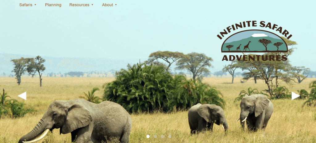 Homepage of Infinite Safari Adventures / infinitesafariadventures.com