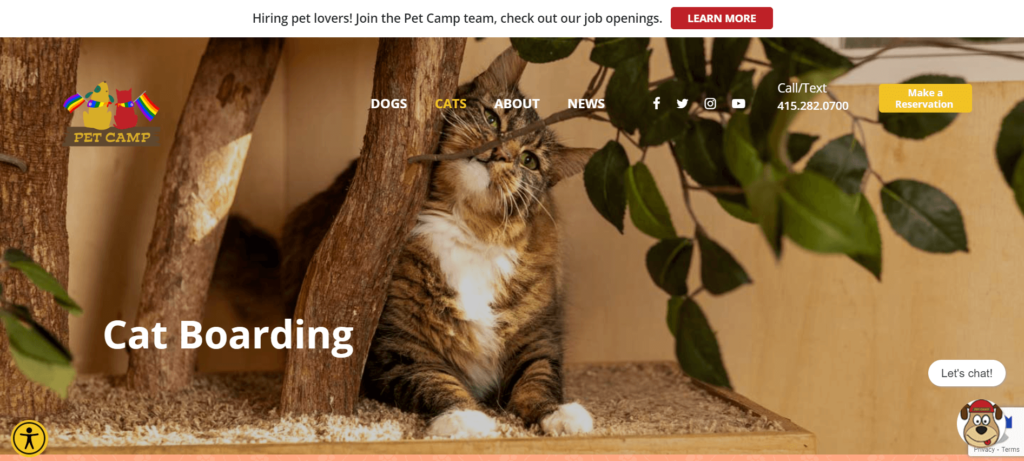 Homepage of Pet Camp Cat Safari / petcamp.com