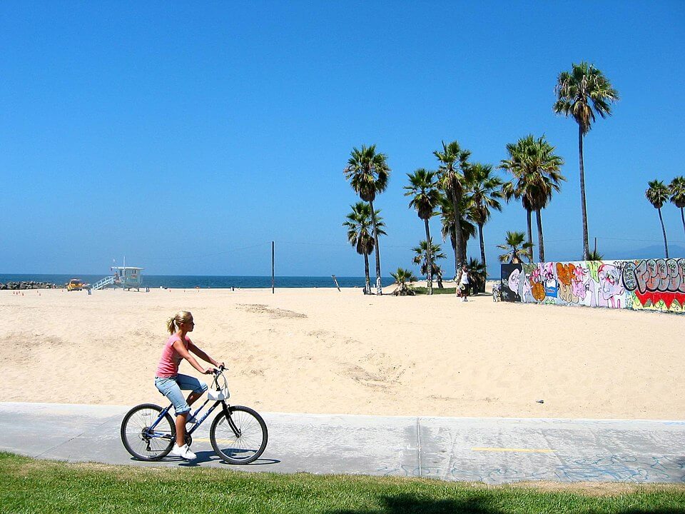 View of Venice Beach / Wikipedia / Tonyfurrer https://en.wikipedia.org/wiki/Venice,_Los_Angeles#/media/File:Venice_Beach_-_panoramio_-_tonyfurrer.jpg
