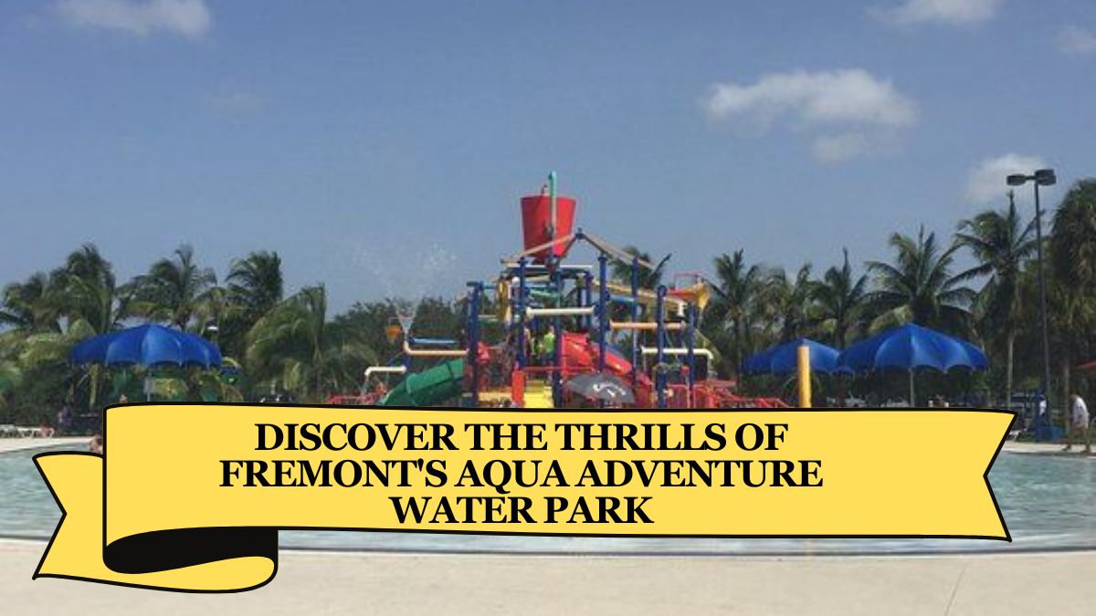 Discover the Thrills of Fremont's Aqua Adventure Water Park