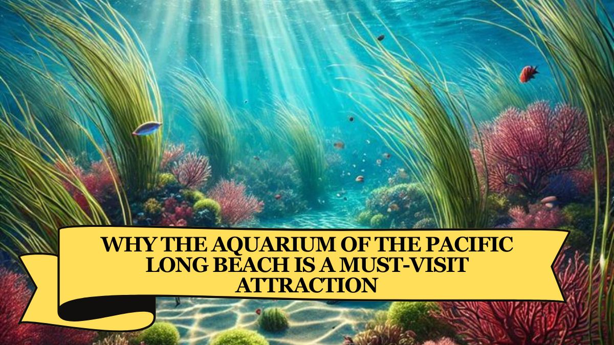 Why the Aquarium of the Pacific Long Beach is a Must-Visit Attraction