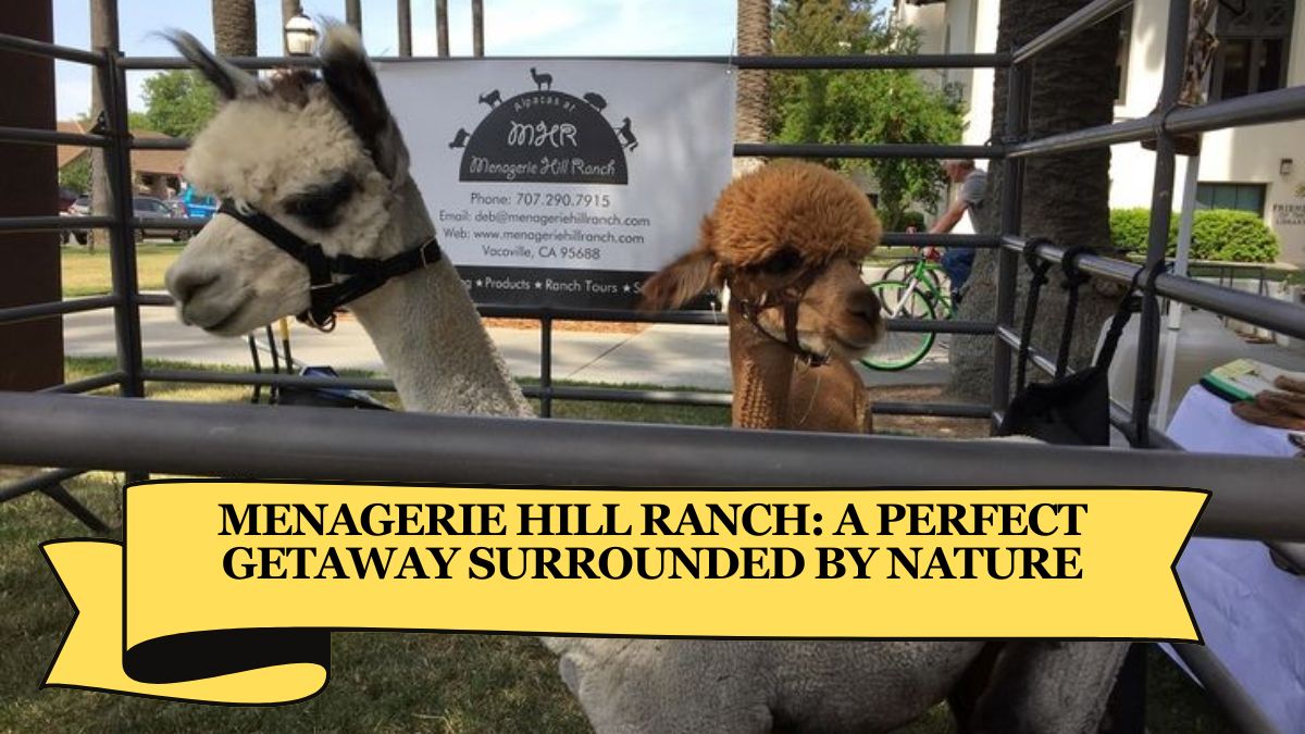 Menagerie Hill Ranch: A Perfect Getaway Surrounded by Nature