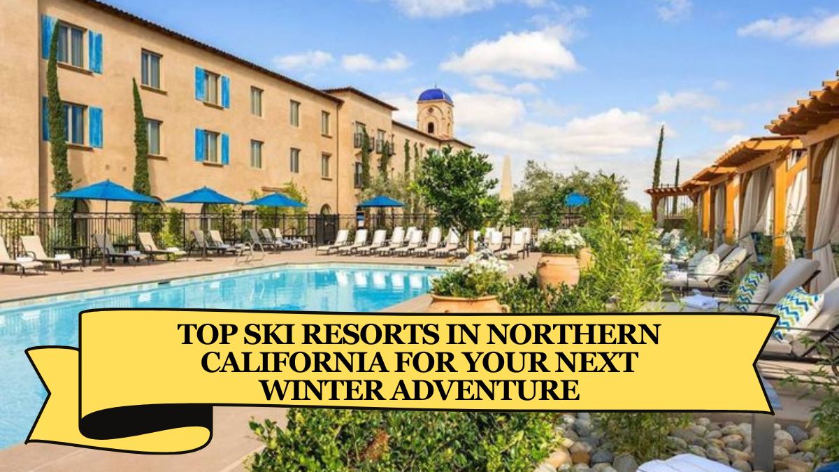 Top Ski Resorts in Northern California for Your Next Winter Adventure