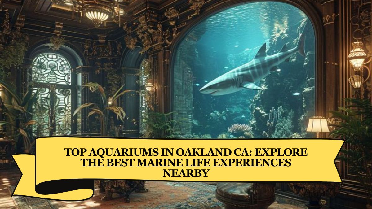 Top Aquariums in Oakland CA: Explore the Best Marine Life Experiences Nearby