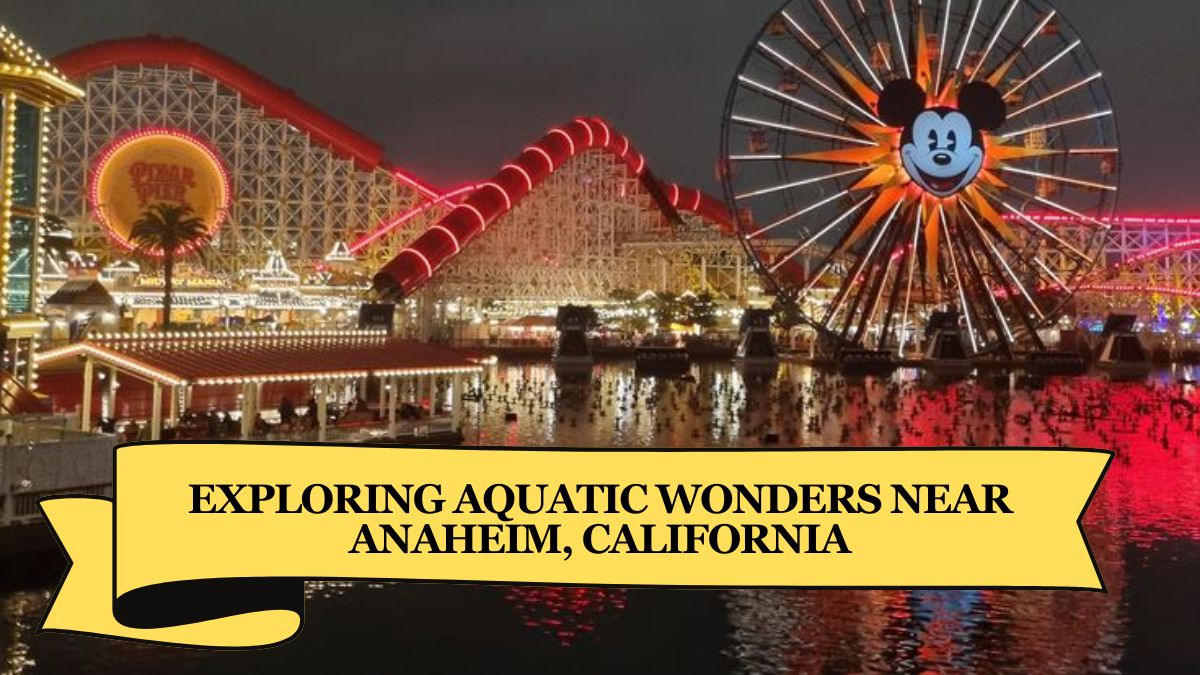 Exploring Aquatic Wonders Near Anaheim, California