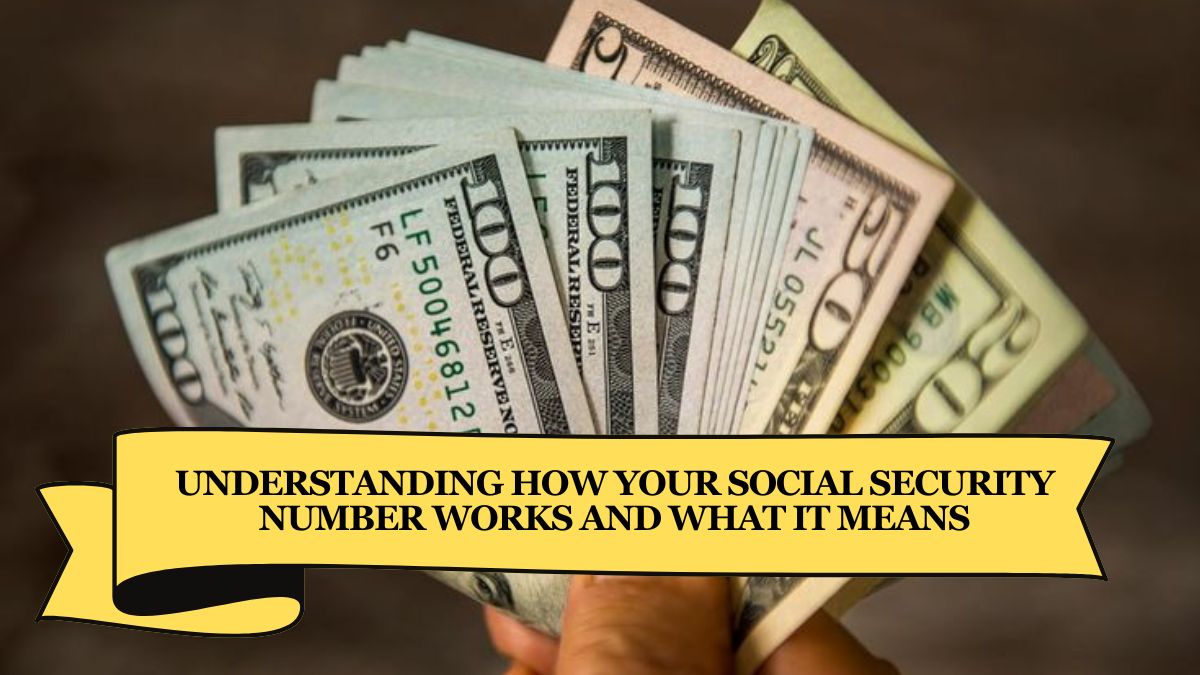 Understanding How Your Social Security Number Works and What It Means