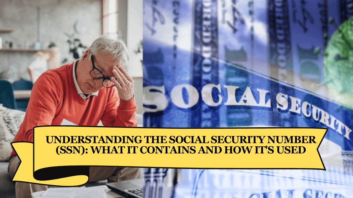 Understanding the Social Security Number (SSN) What It Contains and How It's Used