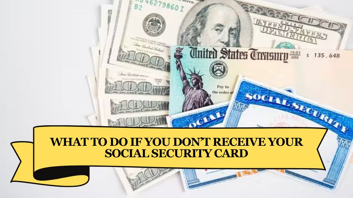 What to Do If You Don’t Receive Your Social Security Card