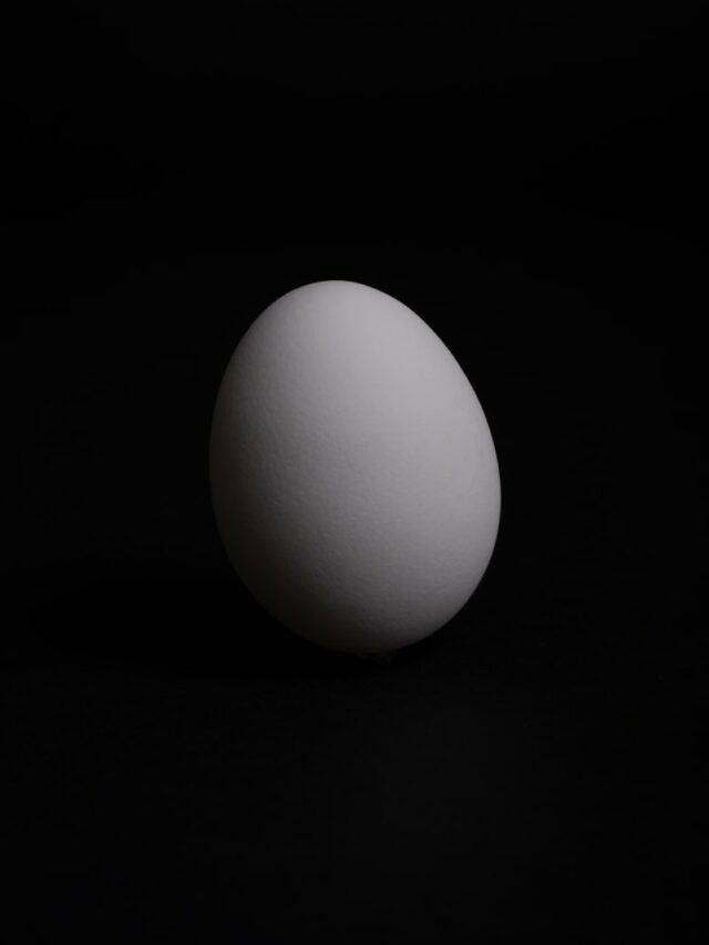 white egg on black surface